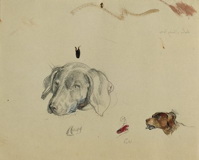 犬类研究 作者 约翰·彼得·克拉夫特
