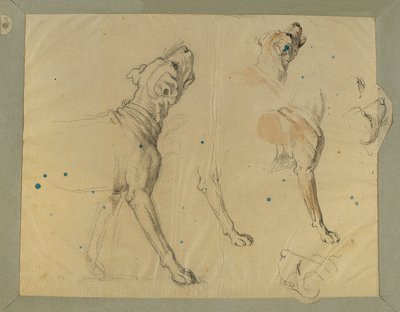 兰德维曼回家》（1820 年）的狗狗研究 作者 约翰·彼得·克拉夫特