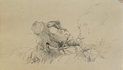 根系、倒塌的树木 作者 约翰·彼得·克拉夫特