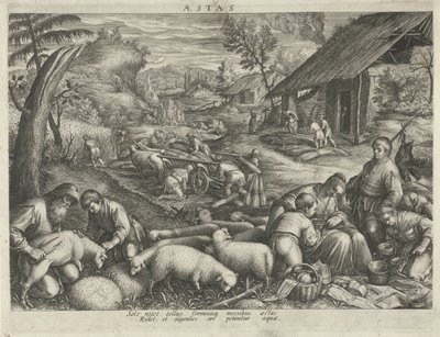 夏季
Aestas（物品上的标题）
四季（系列标题） 作者 哈科波·巴萨诺（Jacopo Bassano）