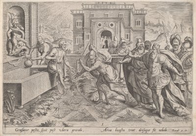 蝗虫之灾》，约1585年。 作者 Johann Sadeler I