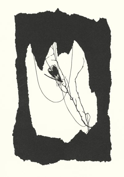 约翰娜-贝克曼剪影（平版） 作者 约翰娜贝克曼