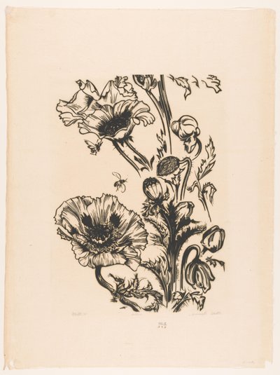 Studie papavers（物品上的原标题） 作者 Johannes Frederik Engelbert 十克洛斯特（艺术家签名）
