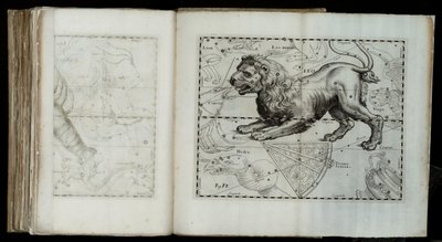 狮子座（星座），来自《天文学史》 作者 Johannes Hevelius