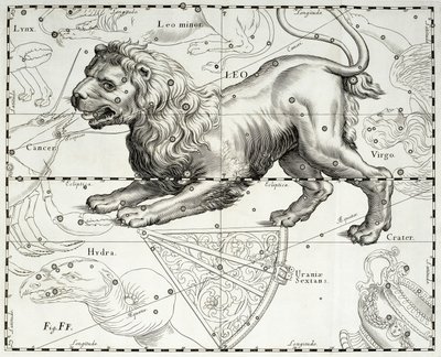 狮子座，狮子座，插图取自 Johann Hevelius (1611-1687) 星图谱 Firmamentum Sobiescianum sive Uranographia，格但斯克 作者 Johannes Hevelius