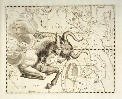 金牛座，金牛座，天体图集《Firmamentum Sobiescianum sive Uronographia》中的雕刻，作者约翰-赫维留斯（1611-1687 年），格但斯克 作者 Johannes Hevelius