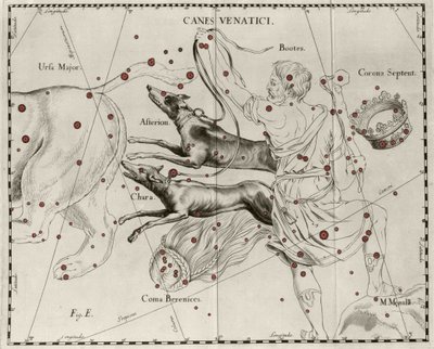 猎犬星座 Canes Venatici。 取自 Johannes Hevelius 或 Hevel（1611-1687）的“Firmamentum Sobiescanum sive Uranographia”的盘子 作者 Johannes Hevelius
