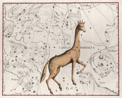 长颈鹿板块的星座取自 Johannes Hevelius 或 Hevel（1611-1687）的“”Firmamentum Sobiescanum sive Uranographia” 作者 Johannes Hevelius