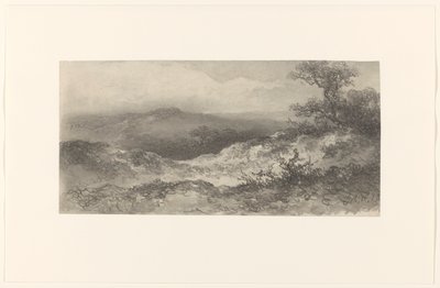 沙丘景观 作者 约翰内斯·希尔弗丁克