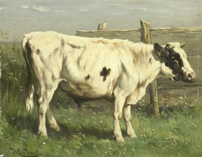  作者 Johannes Hubertus Leonardus de Haas