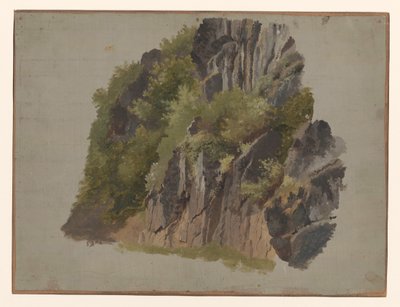 岩石和植被 作者 约翰内斯·塔文拉特