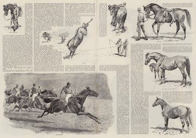 一匹赛马的职业生涯（雕版画 作者 约翰（后）查尔顿