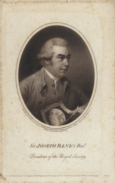 Sir Joseph Banks, English naturalist, botanist and President of the Royal Society (engraving) 作者 约翰（后）罗素