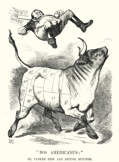Punch cartoon: Bos Americanus; or, Yankee Beef and British Butcher - expected benefits to consumers of importing American meat (engraving) 作者 约翰（后）坦尼尔