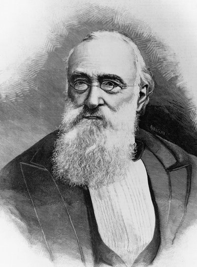 阿戈斯蒂诺-德普雷蒂斯（1813-1887）的肖像，意大利政治家和意大利王国总理，根据米歇尔-申博奇（活跃于1856年-约1906年）的照片雕刻而成。 作者 沃尔特·查尔斯·米尔斯