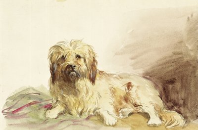 艺术家的狗，1860年 作者 John Adam P. Houston