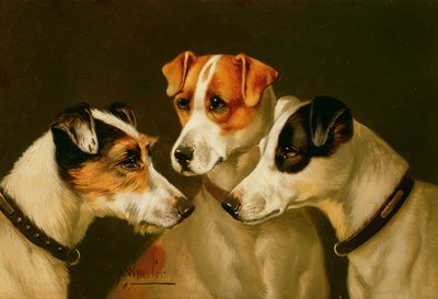 猎犬 作者 John Alfred Wheeler