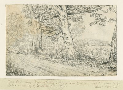 阿米蒂奇公园：钢笔画，1814年 作者 约翰·奥尔波特