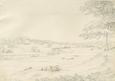 [Great] Barr Park：钢笔和墨水绘画，nd [19世纪初] 作者 约翰·奥尔波特