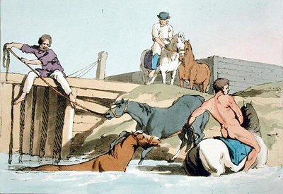 浴马，由艺术家蚀刻，1803年出版（彩色平版印刷）。 作者 约翰·奥古斯都·阿特金森