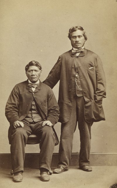 Takerei和Hapimana，c.1863（蛋白印刷品） 作者 约翰·比蒂