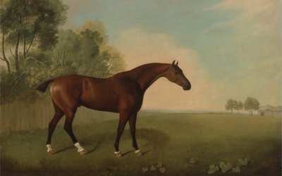 1778年在一个领域的海湾马 作者 John Boultbee