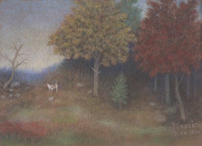 在史蒂文斯公园W.达拉斯附近 作者 约翰·布雷金里奇·马丁