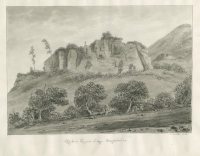 Kinver Edge: 棕褐色图画 作者 约翰·巴克勒
