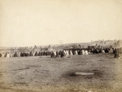 印度理事会在1891年的敌对阵营 作者 约翰·CH·格拉比尔