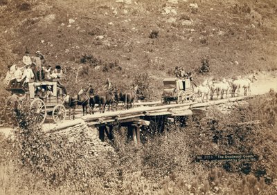 戴维伍德教练，1889年 作者 约翰·CH·格拉比尔