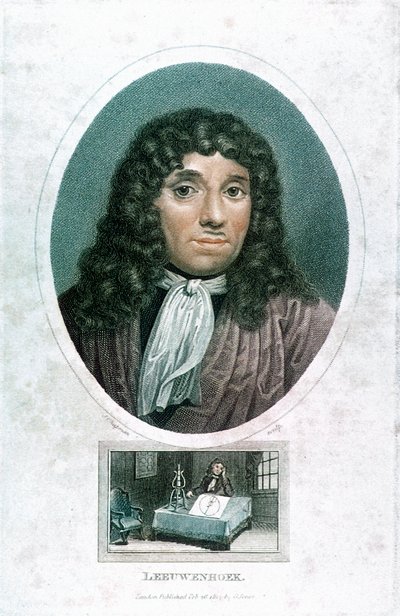 Anton van Leeuwenhoek 1632-1723，荷兰显微学家，c1810 作者 约翰·查普曼