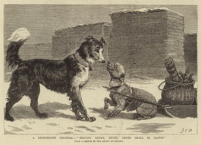 堕落的殖民地，英国人永远不会永远不会成为奴隶 作者 John Charles Dollman