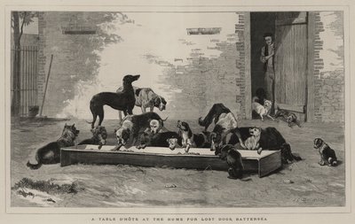 在巴特西的失落的狗的家庭表 作者 John Charles Dollman