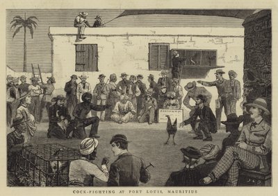 在毛里求斯路易港的公鸡战斗 作者 John Charles Dollman