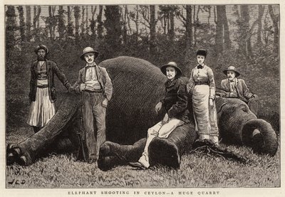 大象在锡兰，一个巨大的采石场射击 作者 John Charles Dollman