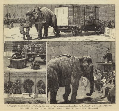 拍卖迈尔斯的美国大马戏团和竞技场 作者 John Charles Dollman