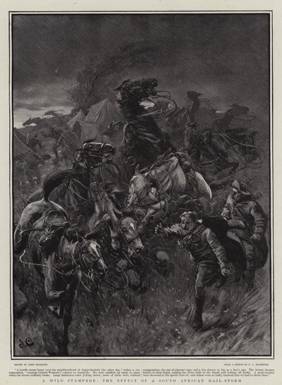 狂野的踩踏事件，南非冰雹风暴的影响 作者 John Charlton