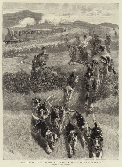 继火车之后，新西兰的一个场景 作者 John Charlton