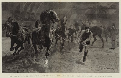 Hackney Stud-Book Society在农业大厅，步伐和行动中的展示 作者 John Charlton