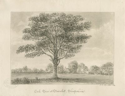 Boscobel-皇家橡树：棕褐色画，1820年 作者 约翰·切塞尔·巴克勒