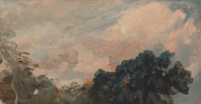 云与树的研究,云与树的研究，1821年。 作者 约翰·康斯特勃