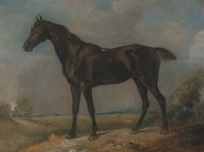 戈尔丁-康斯特布尔的《黑骑马》，1805至1810年间。 作者 约翰·康斯特勃