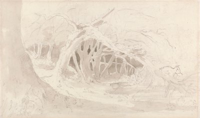 海明翰：寂静的泳池 作者 约翰·康斯特勃