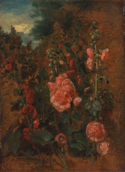 冬青花的研究，约1826年。 作者 约翰·康斯特勃