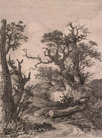在Marlingford，由J. & W. Freeman出版。 作者 约翰·克罗姆