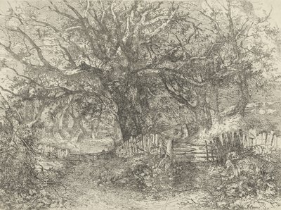 道路场景，Trowse Hall，1813 作者 约翰·克罗姆