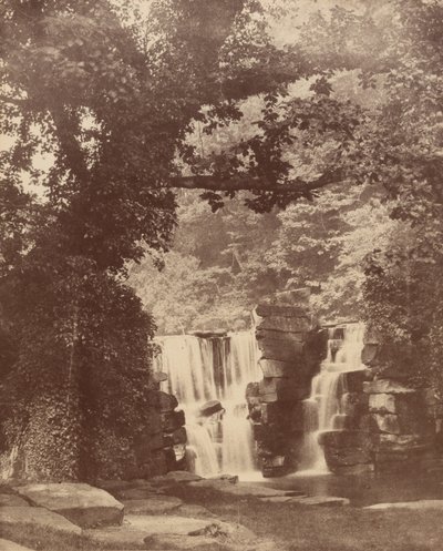 上瀑布，Penllergare 山谷森林，约 1852 年（照片1852 年（照片） 作者 约翰·迪尔温·莱维林