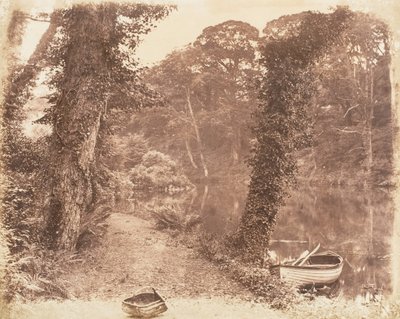 上湖，1853-56年。 作者 约翰·迪尔温·莱维林