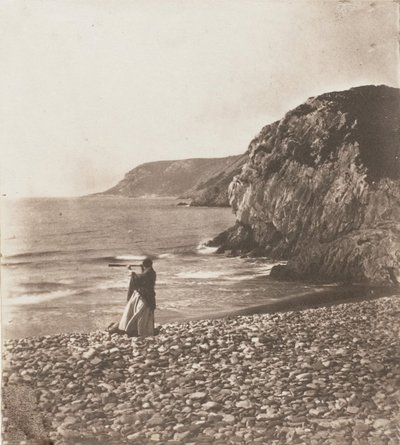 风与浪》，1853-56年。 作者 约翰·迪尔温·莱维林