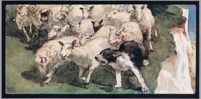 山羊尾巴牧羊犬和悬崖上的羊群，插图选自 Gladys Davidson 所著的《没有手的帮手》，1919 年出版（彩色石版印刷）。 作者 约翰·埃德温·诺布尔